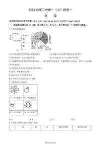 2024北京二中高一（上）段考一月考化学试题及答案