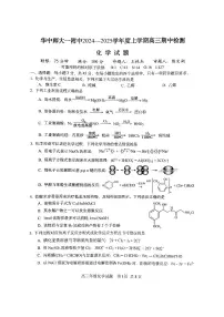 湖北省武汉市华中师范大学第一附属中学2024-2025学年高三上学期11月期中化学试卷 含答案