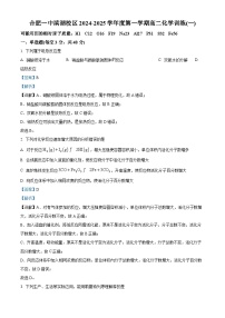 安徽省合肥市第一中学（滨湖校区）2024-2025学年高一上学期第一次检测化学试题（Word版附解析）