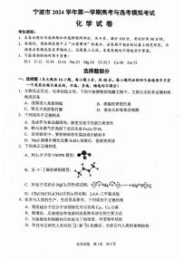 2025宁波高三上学期11月第一次模拟考试化学试题扫描版含答案