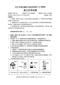 2024年湖北省新八校协作体高三上学期10月联考化学试题