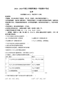 河南省部分学校2024-2025学年高一上学期期中考试 化学试题