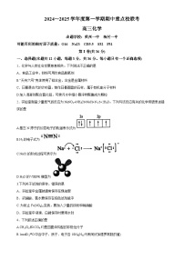 天津市天津市天津市五区县重点校联考2024-2025学年高三上学期11月期中化学试题