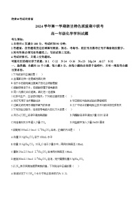 浙江省杭州市浙里特色2024-2025学年高一上学期11月期中考试 化学试题(无答案)