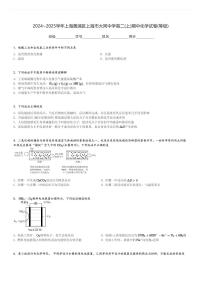 2024～2025学年上海黄浦区上海市大同中学高二(上)期中化学试卷(等级)[原题+解析]