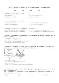 2024～2025学年10月湖北武汉硚口区武汉市第四中学高二(上)月考化学试卷[原题+解析]