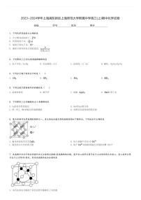 2023～2024学年上海浦东新区上海师范大学附属中学高三(上)期中化学试卷[原题+解析]