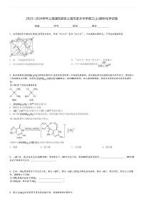 2023～2024学年上海浦东新区上海市进才中学高三(上)期中化学试卷[原题+解析]