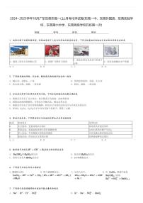 2024～2025学年10月广东东莞市高一(上)月考化学试卷[原题+解析]