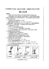 山东省烟台市2024-2025学年高三上学期期中学业水平诊断考试化学试卷（PDF版附答案）