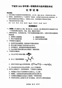 宁波市2024学年第一学期高考与选考模拟考试化学试题（附参考答案）