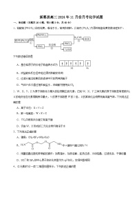 河南省驻马店市新蔡县2024-2025学年高三上学期11月月考化学试题（含答案）