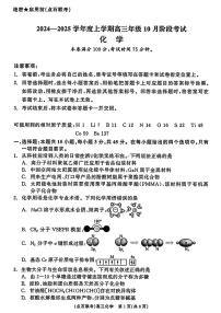 2025届辽宁省点石联考&县级协作体高三上学期11月期中考-化学试卷+答案