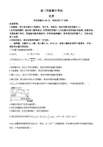 河北省邯郸市2024-2025学年高二上学期11月期中考试化学试卷（Word版附解析）