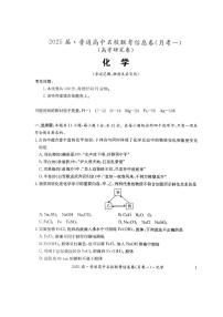 湖南省娄底市名校联考2024-2025学年高三上学期月考（一）化学