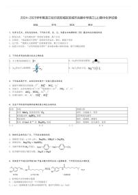 2024～2025学年黑龙江哈尔滨双城区双城市兆麟中学高三(上)期中化学试卷[原题+解析]