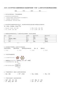 2024～2025学年四川成都新都区四川省成都市新都一中高一(上)期中化学试卷(蓉城名校联盟)[原题+解析]