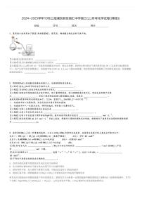 2024～2025学年10月上海浦东新区南汇中学高三(上)月考化学试卷((等级))[原题+解析]