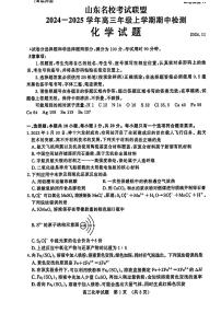 山东省名校考试联盟2024-2025学年高三上学期期中考试化学试题（含答案）