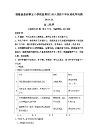 福建省泉州市第五中学2024-2025学年高三上学期11月期中考试化学试卷（Word版附解析）