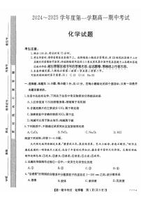 安徽省滁州市九校联考2024-2025学年高一上学期11月期中考试化学试题