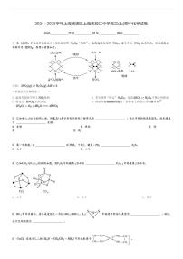 2024～2025学年上海杨浦区上海市控江中学高三(上)期中化学试卷[原题+解析]