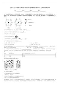 2023～2024学年上海浦东新区浦东复旦附中分校高三(上)期中化学试卷[原题+解析]