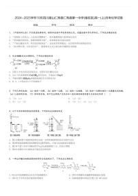 2024～2025学年10月四川眉山仁寿县仁寿县第一中学(南校区)高一(上)月考化学试卷[原题+解析]