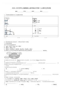 2024～2025学年上海黄浦区上海市敬业中学高一(上)期中化学试卷[原题+解析]