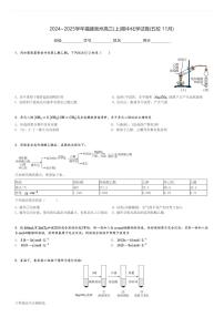 2024～2025学年福建泉州高三(上)期中化学试卷(五校 11月)[原题+解析]