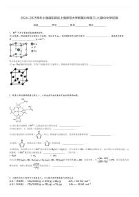 2024～2025学年上海浦东新区上海师范大学附属中学高三(上)期中化学试卷[原题+解析]