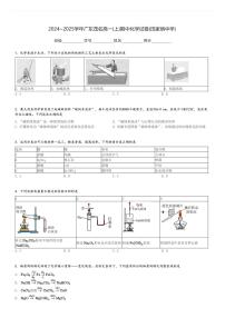 2024～2025学年广东茂名高一(上)期中化学试卷(田家炳中学)[原题+解析]