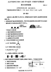 2025届北京市朝阳区高三上学期11月期中质量检测-化学试卷+答案