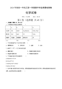 甘肃省天水市甘谷县甘肃省甘谷第一中学2024-2025学年高三上学期11月期中化学试题