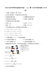河北省沧州市2024-2025学年高一上学期10月第一次月考 化学试卷