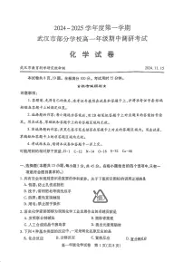 湖北省武汉市部分学校2024-2025学年高一上学期期中考试 化学试题