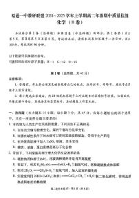 云南省昭通一中教研联盟2024-2025学年高二上学期期中质量检测化学试题（B卷）