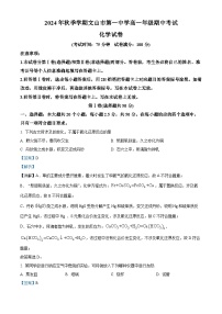 云南省文山市第一中学2024-2025学年高一上学期10月期中考试 化学试题（解析版）