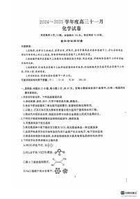 湖北省武汉市江岸区2024-2025学年高三上学期11月调研考试 化学试卷