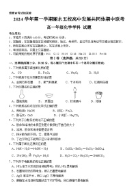 浙江省丽水市五校高中发展共同体2024-2025学年高一上学期11月期中联考 化学试题