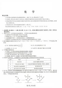 河北省沧州市三校联考2024-2025学年高三上学期11月期中考试_化学试题