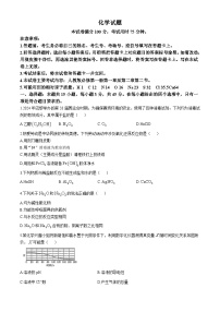 河北省定州市名校2024-2025学年高一上学期期中联考化学试题