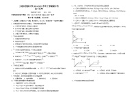 云南省大理白族自治州民族中学2024-2025学年高二上学期11月期中考试_化学试题