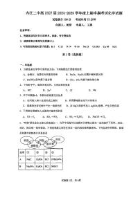 四川省内江市第二中学2024-2025学年高一上学期11月期中考试  化学试题