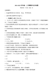 安徽省阜阳市阜南实验中学2024-2025学年高一上学期11月期中考试 化学试题