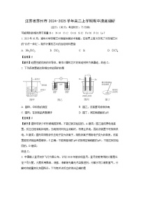 江苏省苏州市2024-2025学年高二上学期期中摸底调研化学试卷（解析版）