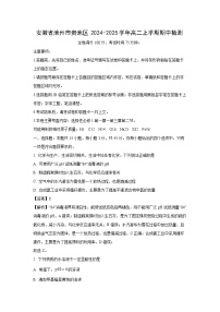 安徽省池州市贵池区2024-2025学年高二上学期期中检测化学试卷（解析版）