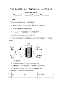 广西壮族自治区南宁市兴宁区两校联考2024-2025学年高三上学期一模化学试题