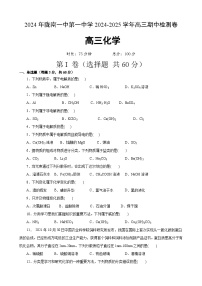 甘肃省陇南市第一中学2024-2025学年高三上学期11月期中考试化学试题
