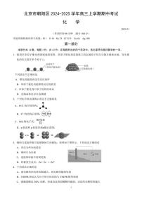 北京市朝阳区2024～2025学年高三(上)期中化学试卷(含答案)